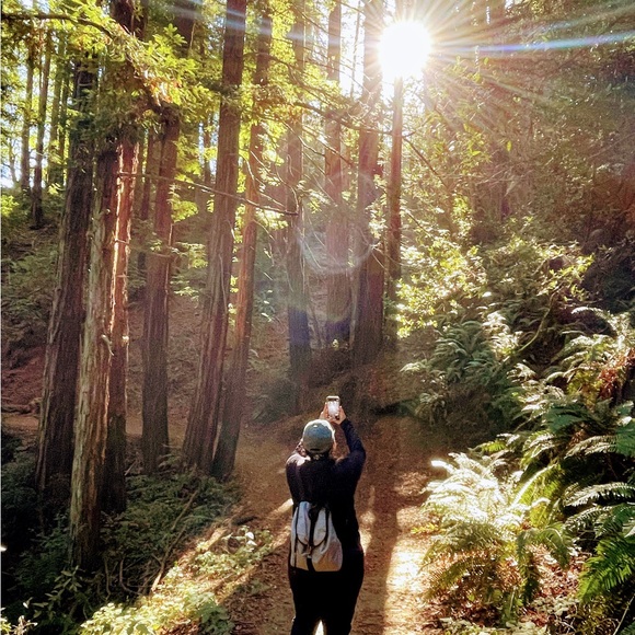 Meet your Posher, Sylvia - Picture 1 of 1